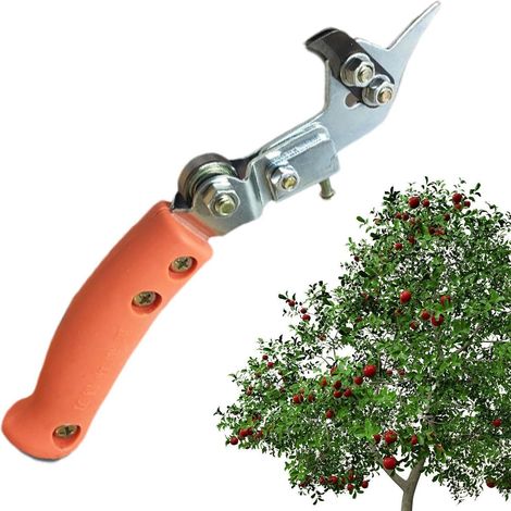 Écorceur annulaire Cisaille d'Annelage et de Pelage Sécateur élagage pour arbres fruitiers Décortiqueur de jardin, outil de taille réglable pour la taille et l'élagage des arbres fruitiers, jard (1/5)