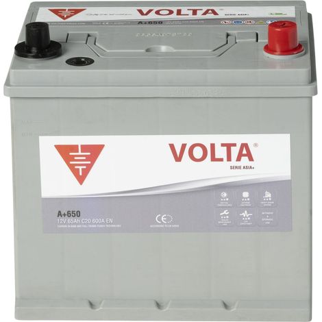 Batería de coche Volta ASIA PLUS 65Ah 600A Borne + dcha. Medidas 230x173x225mm (1/3)