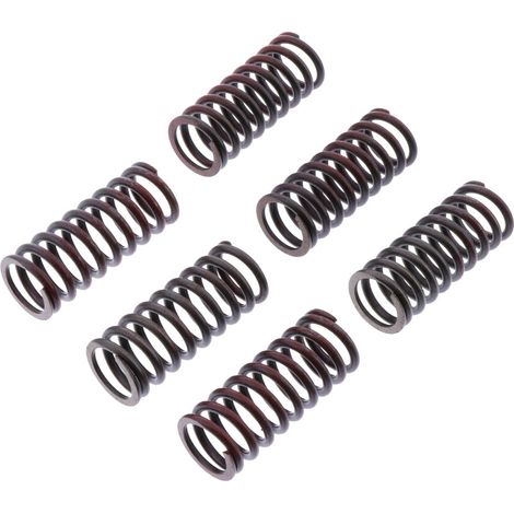TRW ZF Kupplungsfedern Ducati Monster 620 / 696 / 800 05-14, Scrambler 800 15-,