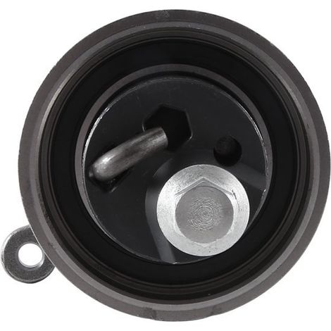 Nur in einer Farbe erhältlich: Silber. Material: Metall. Zahnriemenspanner WE01-12-70 (1/5)
