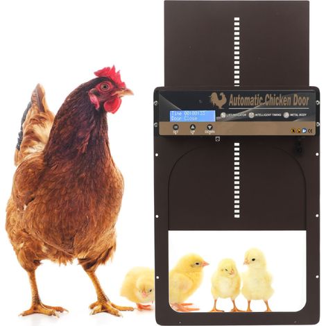 Porte Automatique Poulailler - Trappe Programmable Aluminium avec Timer, Détection Lumière et Contrôle à Distance (1/4)