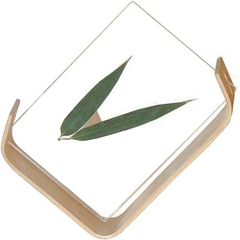 Cadre photo moderne et épuré en bois et acrylique, objet de décoration de bureau et d'intérieur (1/5)
