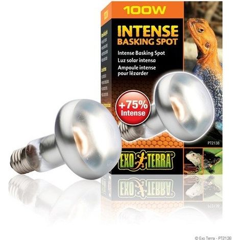 EXO TERRA INTENSE Spot crogiolarsi 100 W