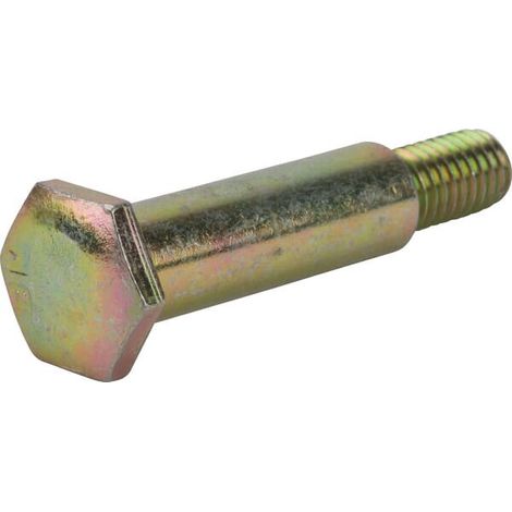 Bolt 2.41X1.66 AYP 596434402
