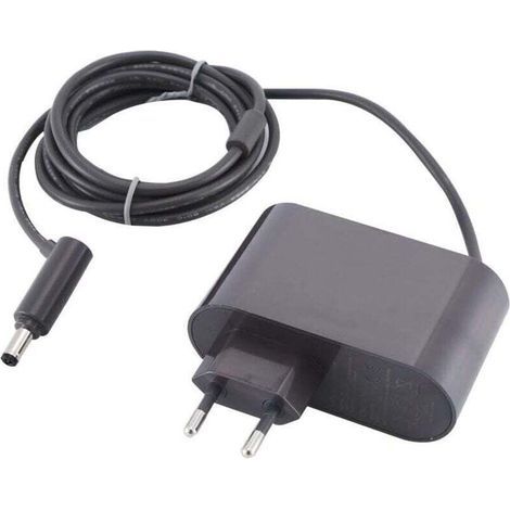 Chargeur pour Dyson V6 V7 V8 SV03 SV04 SV05 SV06 SV07 Absolute/Motorhead/Animal Aspirateur Chargeur,26.1V Batterie Chargeur pour Dyson DC61 DC62 DC58 DC59 DC60 DC74Aspirateur (1/4)