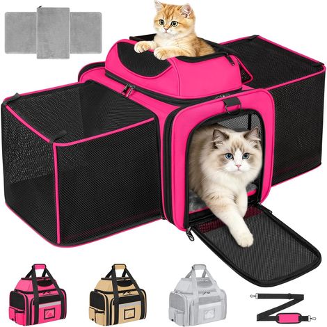 Sac Transport Chat Chien Caisse Transport Tensible Plusieurs Faces Pliable Transport Chien Voiture Matelas Amovible Lavable, Laisse Sécurité pour Voiture Vétérinaire (1/5)