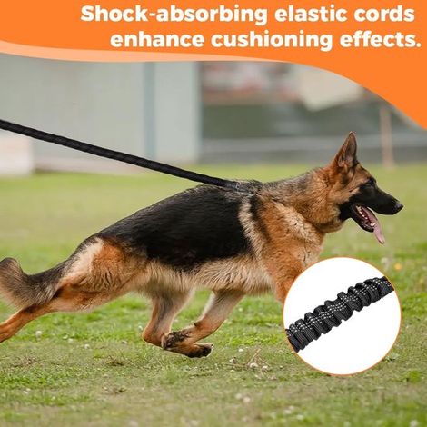 Correa giratoria ajustable y reflectante para perros