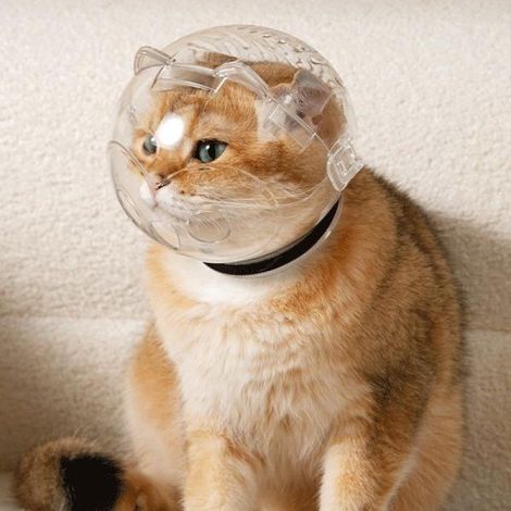 ZENITHMIND Panier de muselière respirante pour chat, protection anti-morsure, confortable (1/5)
