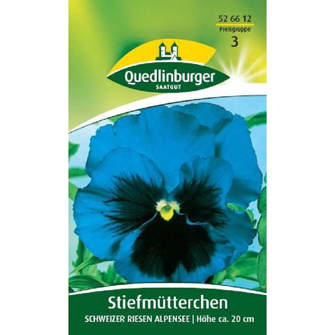 Stiefmütterchen kaufen, Frühlingsblumen für Balkon, zweijährig (1/2)