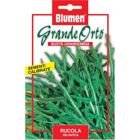 SEMI RUCOLA SELVATICA MAXI ORTO BLUMEN