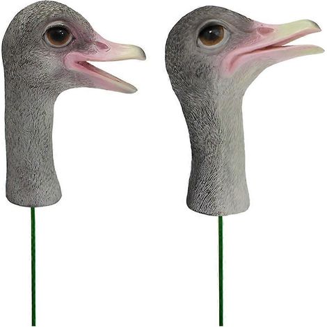 Lot de 2 piquets décoratifs en forme de tête d'autruche pour jardin - (1/5)
