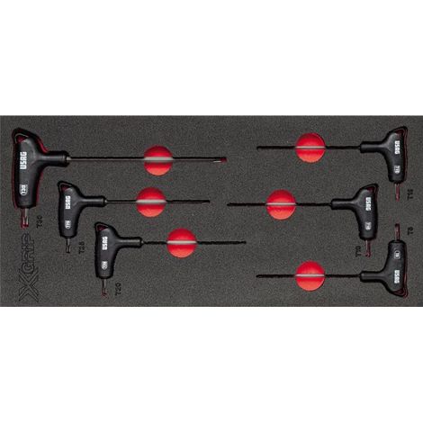 Modulo in Spugna Assortito Usag 519 M 280HXTX 6 pezzi
