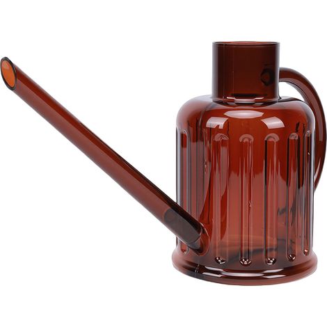 Arrosoir à long bec 1000 ml en plastique détachable pour plantes d'intérieur, jardin et fleurs. (1/5)