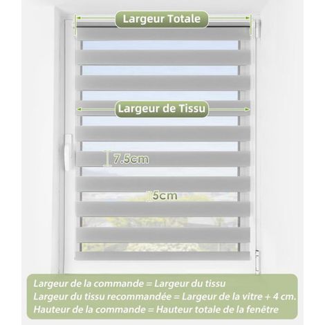 Store Enrouleur Jour Nuit - 1 Unité - Polyester Gris - Réglage Lumière Sans Perçage - Fenêtre et Por BLU-RAY INTERACTIF - BLU-RAY E (1/5)