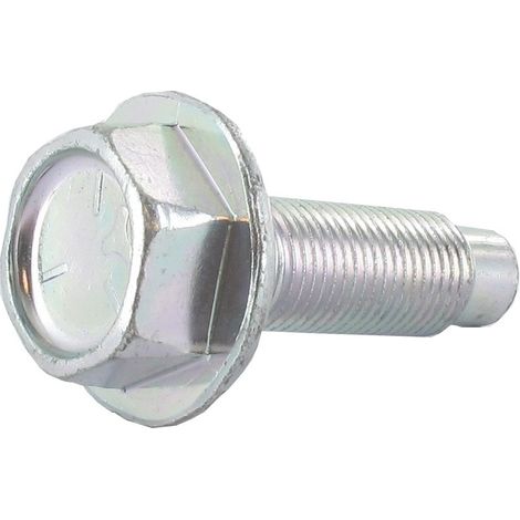 Boulon de vilebrequin BRIGGS ET STRATTON 698139