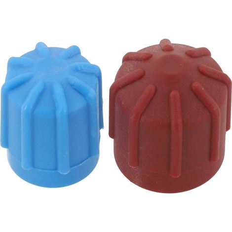 Lot de 2 bouchons de valve pour climatisation de voiture - Haute basse pression - R134a - Compatible avec r1234yf (1/5)