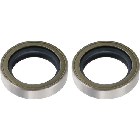 2x joint SPI 30x43x6,4mm référence origine 391 086 et 298 423 compatible avec Briggs & Stratton 10cv 11cv 16c et Tecumseh 7 à 10cv verticaux horizontaux (1/2)