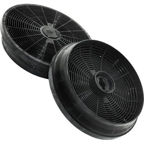 Lotto di 2 filtri a carbone 14 145 x 30 mm - Cappa aspirante - ROSIERES - 1132228001815147555 (1/2)