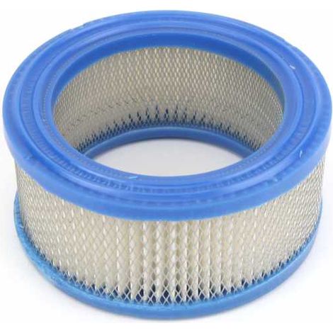Filtre à air pour moteur Briggs & Stratton 392286 (1/4)