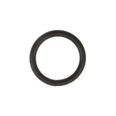 O-Ring für Entleerschraube für Speck BADU 90 (1/2)