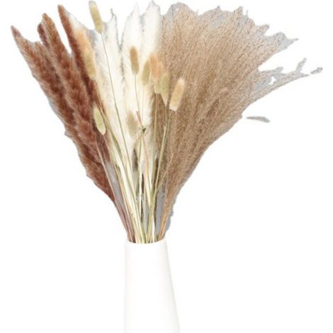 Pampas séchées naturelles 45 cm fleurs séchées pour déco bohème mariage fête cuisine jardin maison (1/5)