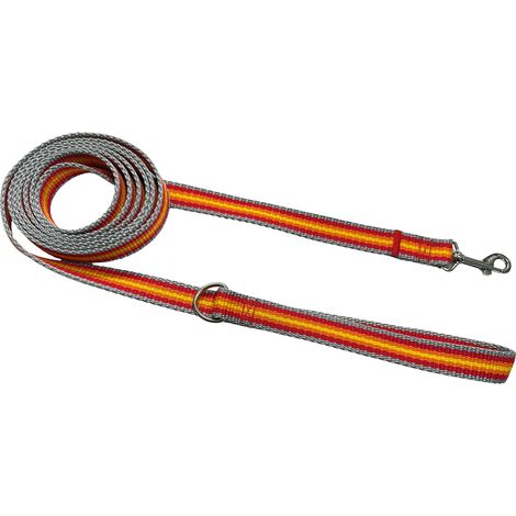 Guinzaglio classico per cani da passeggio, robusto, comodo, grigio, arancione, rosso Guinzaglio classico per cani da passeggio, robusto, comodo, grigio, arancione, rosso, XXXL - 500 cm (1/5)