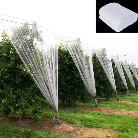 Moustiquaire de patio 2,4 x 10M, moustiquaire de protection de jardin, filet anti-insectes pour oiseaux, filet de protection pour potager et fruitier (1/5)