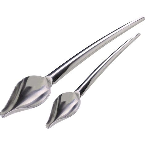 Lot de 2 cuillères plumes à décoration pâtissière Jean Daudignac (1/5)