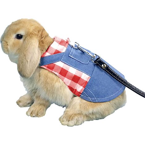 Harnais avec Laisse pour Lapin, Harnais de Lapin avec Laisse de Remorquage Élastique Réglable(rouge 20cm-L) (1/5)