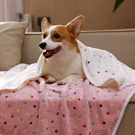 Couverture Pour Animaux - Flanelle Double Face En Polyester - Motif Points - 3 Pièces Par Pack - Tailles S/M/L - Pour Chien Chat Chiot (1/5)