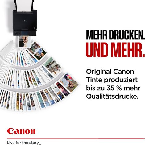 Canon PG-595 Druckerpatrone 1 Stück(e) Original Schwarz