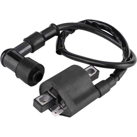 Bobine d'allumage de Scooter, Bobine Allumage, Bobine d'allumage pour Moto Tout-terrain MBK Booster Bobine d'allumage de moto pour la Plupart des Cyclomoteurs de Scooter de VTT 150CC 200CC 250CC (1/5)
