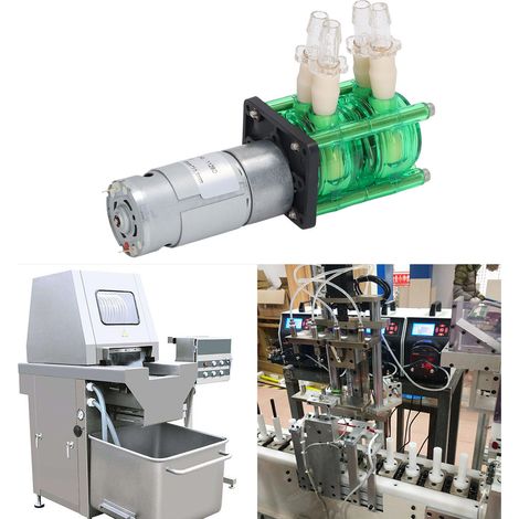 Pompe péristaltique à double tête, corps vert, tubulure jaune, débit élevé, résistante à la corrosion, facile à installer, pompe de titration, tubulure BPT, 700 ml/min, 24 V CC (1/5)