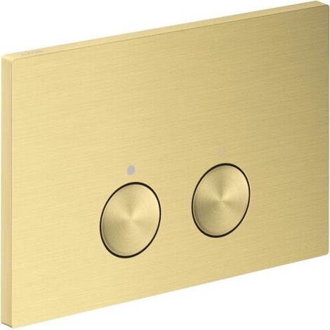 AXOR 42530950 Plaque de commande Axor FlushPlate BB
