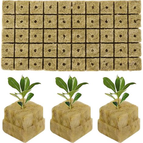 50 Bloques Esponja Hidropona Pour Plantes E (1/5)