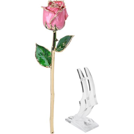 Roses véritables plaquées or 24 carats avec support, cadeau romantique pour la Saint-Valentin et les fiançailles (1/5)
