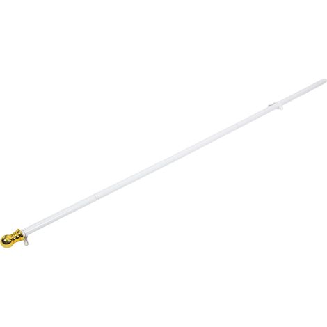 Mât De Drapeau Extérieur Alliage Aluminium avec Rotation pour Jardin Et Cour Support De Drapeau Métallique Facile à Installer (1/5)