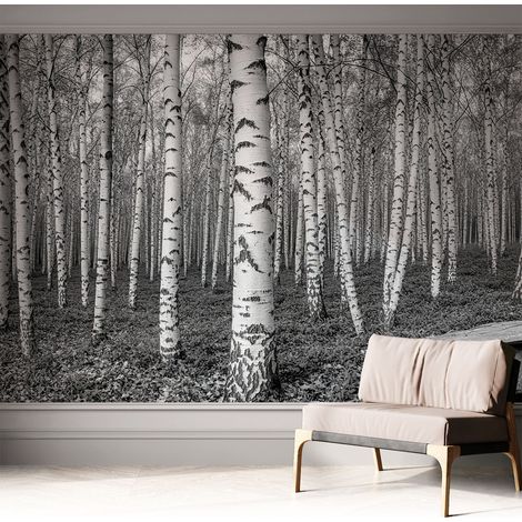 Tapete adhésive moderne pour salon et chambre à coucher Décoration rapide avec colle Forêt de bouleaux 312x219 cm (1/5)