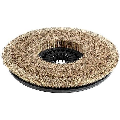 Brosse disque complète naturel D43