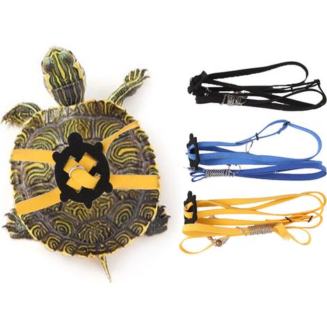 1 Laisse tortue, sangle réglable, nylon durable, mousqueton aluminium, pour promenade extérieur petits animaux (1/5)