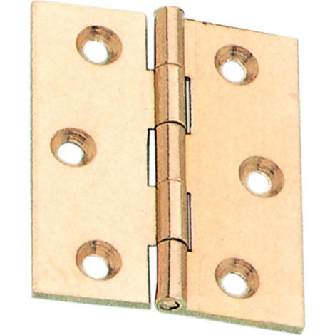 BL CERNIERA FRESATA PIANA OTTONE SAT 60X50 MM 2 PZ- MARIVA- 6,0 blister