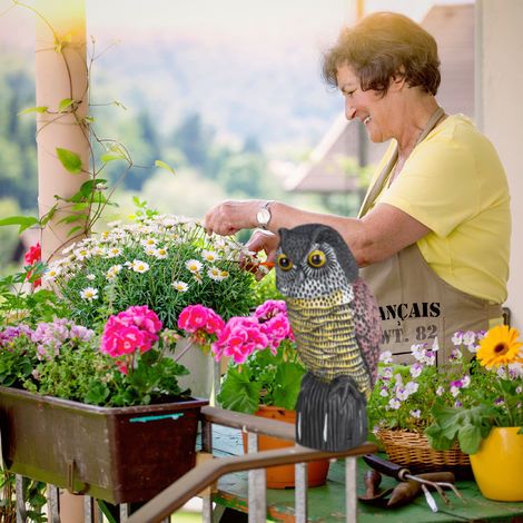 Deterrente uccelli 2 Eule oscillanti, statuette decorativa per giardino, balcone, terrazza, multicolore (1/4)