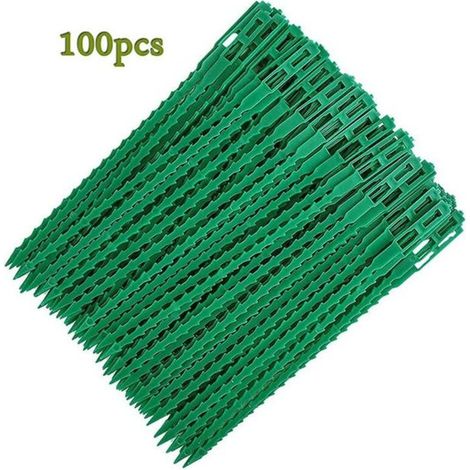 Attaches réglables pour plantes, lot de 100, câbles réutilisables pour jardin Odipie (1/4)