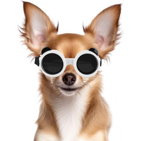 Filiyano-Lunettes pour chiens de petites races, protection UV/vent/poussière, lunettes de soleil pour chiots avec sangle réglable - Blanches (1/5)