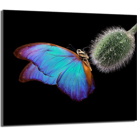 Glasschutzplatte für den Herd 60x52 Butterfly (1/5)
