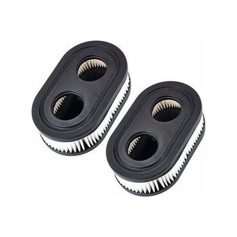 Lawn Mower Air Filters for Briggs & Stratton 798452 593260 5432 5432K,A (1/5)