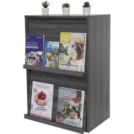 Iris Ohyama, Möbel, Bücherregal, Aufbewahrungsregal mit 2 Türen, CHR-2, Graue Eiche, W40,9 x D59 x H83,6 cm