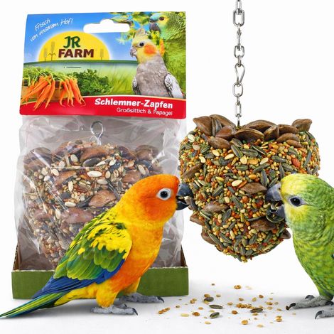 JR FARM Wielgachna Szyszka für Feinschmecker - ein leckerer Snack für alle größeren Papageien 195 g (1/4)