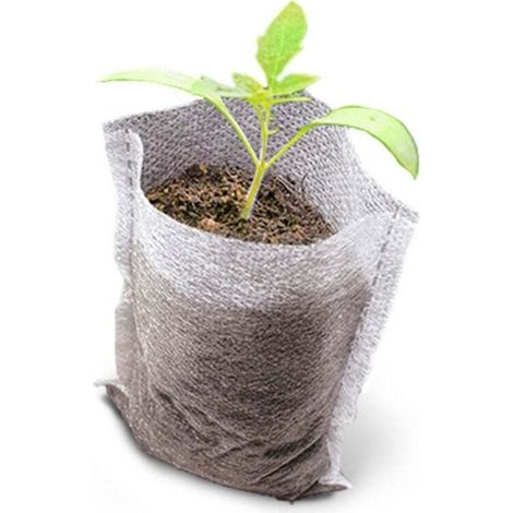 500 sacchetti per semina biodegradabili in tessuto non tessuto – tessuto per piantine e giovani piante – pomodori, fiori e altro – bianco – 8 × 10 cm