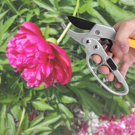 Sécateur en acier à haute teneur en carbone, outil de jardinage pour élaguer et tailler les branches (1/5)